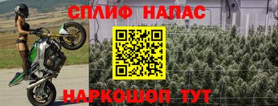дживик Краснознаменск