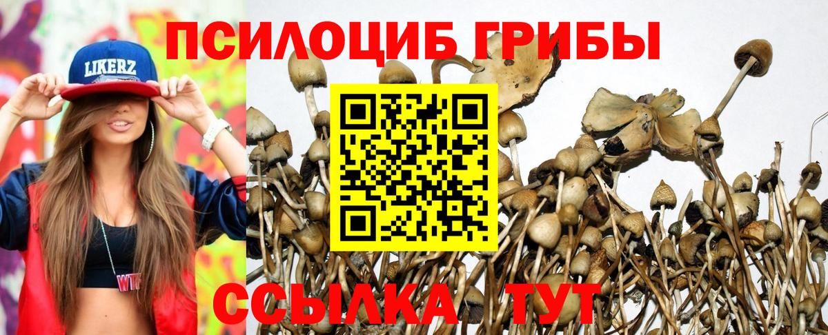 Псилоцибиновые грибы Cubensis  Вход с VPN  Ирбит  Псилоцибиновые грибы Cubensis 